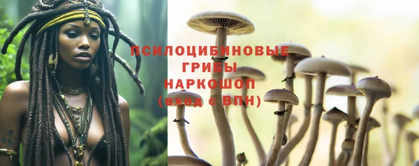МДМА Сясьстрой