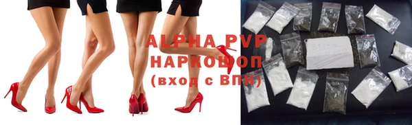 СК Михайлов