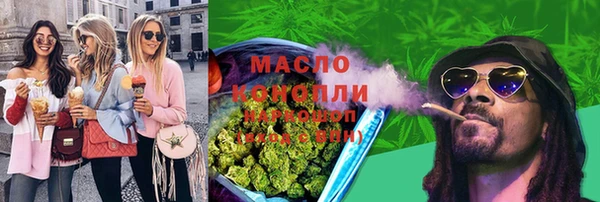 СК Михайлов
