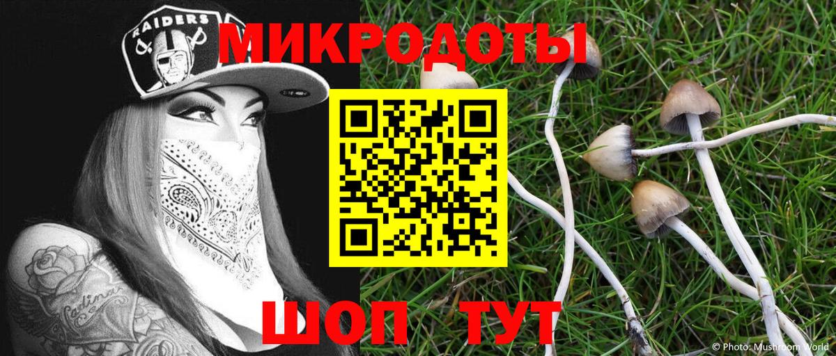Псилоцибиновые грибы GOLDEN TEACHER  Вход с VPN  Химки  Псилоцибиновые грибы Cubensis 