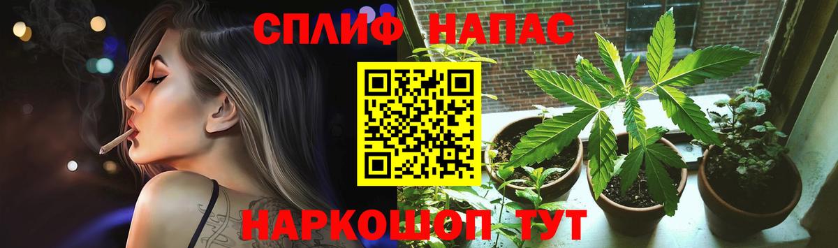 Конопля MAZAR Химки